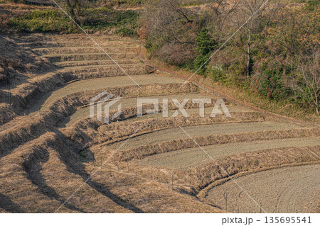 明日香村稲渕の棚田冬景色　日本の棚田百選　奈良県 135695541