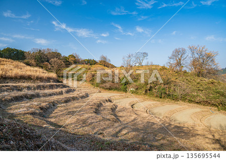 明日香村稲渕の棚田冬景色　日本の棚田百選　奈良県 135695544