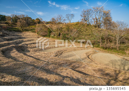明日香村稲渕の棚田冬景色　日本の棚田百選　奈良県 135695545