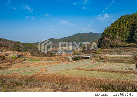 明日香村稲渕の棚田冬景色　日本の棚田百選　奈良県 135695546