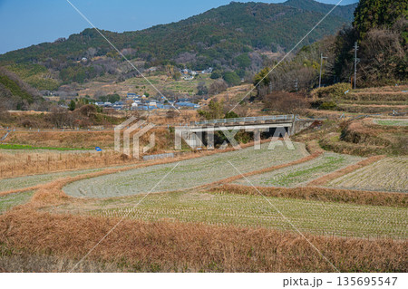 明日香村稲渕の棚田冬景色 日本の棚田百選 奈良県 明日香村稲渕の棚田冬景色 日本の棚田百選 奈良県 135695547