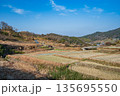 明日香村稲渕の棚田冬景色　日本の棚田百選　奈良県 135695550