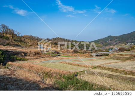 明日香村稲渕の棚田冬景色 日本の棚田百選 奈良県 明日香村稲渕の棚田冬景色 日本の棚田百選 奈良県 135695550