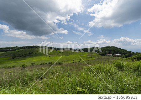 夏の長野県諏訪市にある霧ヶ峰の踊場湿原 夏の長野県諏訪市にある霧ヶ峰の踊場湿原 135695915
