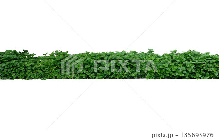 Green tree wall fence with concrete planter Green tree wall fence with concrete planter 135695976