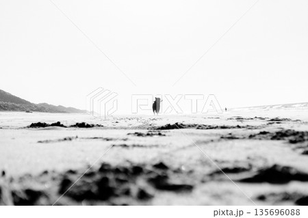 砂浜と犬 135696088