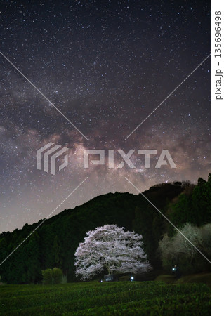 天の川と桜と茶畑の絶景の縦画像 135696498