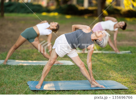 Elderly woman doing yoga in park 135696766