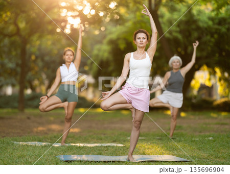 Woman performing Tree Pose during group yoga session in park Woman performing Tree Pose during group yoga session in park 135696904