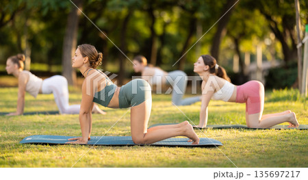 Group of young women doing yoga in cat pose 135697217