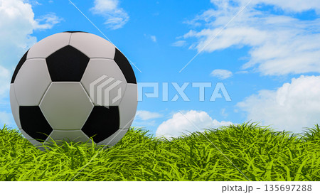 Classic Soccer Ball on Green Grass Under Blue Sky 3d render. 135697288