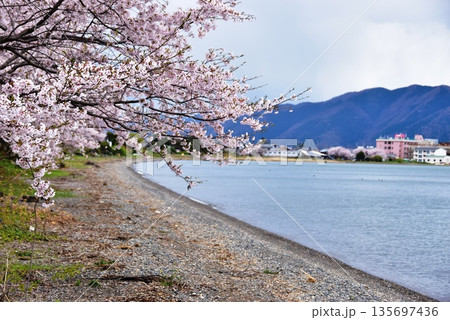 滋賀県高島市 琵琶湖と今津の琵琶湖畔と満開桜 滋賀県高島市 琵琶湖と今津の琵琶湖畔と満開桜 135697436
