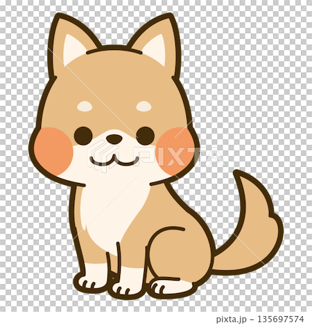 かわいい柴犬のイラスト かわいい柴犬のイラスト 135697574