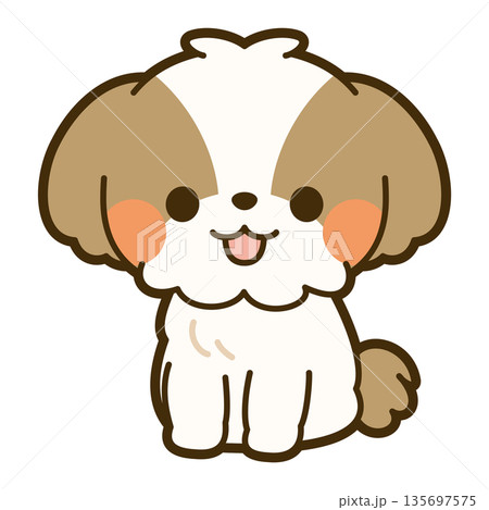 かわいいシーズーのイラスト かわいいシーズーのイラスト 135697575