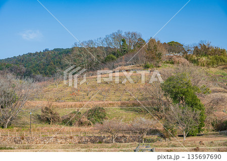 石舞台古墳芝生広場からの里山の眺め　奈良県明日香村 135697690