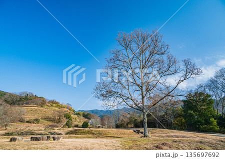 石舞台古墳芝生広場　奈良県明日香村 135697692