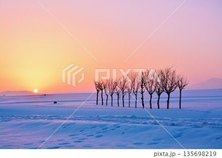雪原のハサ木朝焼けの夜明け 135698219