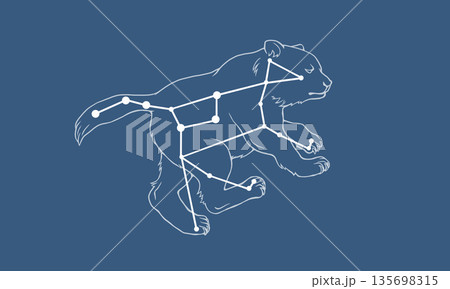 ネイビー色の背景に浮かぶおおぐま座のイラスト（白線の熊の絵と星座線） 135698315