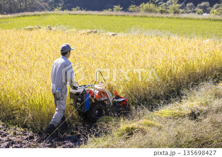 稲刈りイメージ　手押しの稲刈り機バインダーを使って稲を刈る男性 135698427