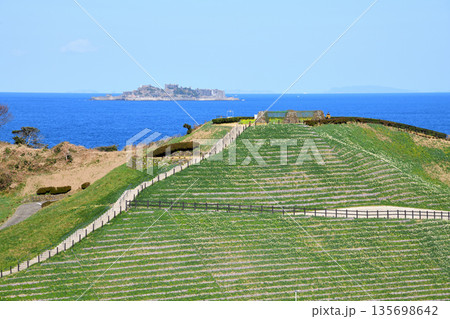 野母崎のスイセンと軍艦島 135698642