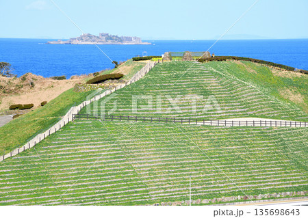 野母崎のスイセンと軍艦島 135698643