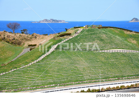 野母崎のスイセンと軍艦島 135698646