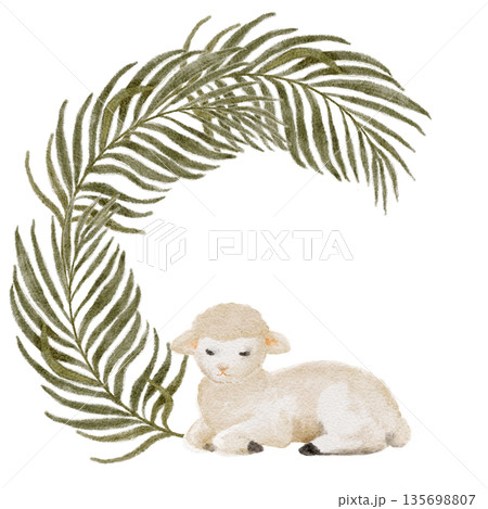 Watercolor illustration of lamb with palm leaves isolated on white background, hand-painted in soft natural tones, Christian Easter and Palm Sunday design for invitations, church decor, cards, prints Watercolor illustration of lamb with palm leaves isolated on white background, hand-painted in soft natural tones, Christian Easter and Palm Sunday design for invitations, church decor, cards, prints 135698807