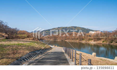 冬の背割り堤　宇治川　京都府八幡市 135698811