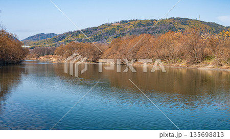 宇治川から天王山を望む　京都府八幡市 135698813