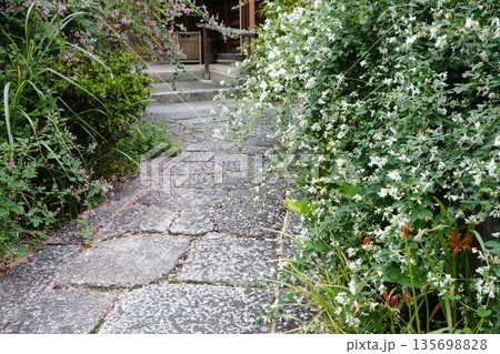 京都の常林寺と萩の花 135698828