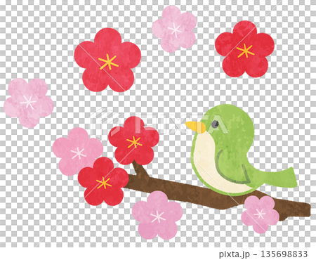 梅花與叢鶯圖示插圖 梅花與叢鶯圖示插圖 135698833