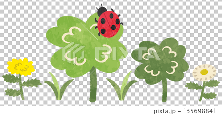 春季圖示插圖,圖案為四葉草和瓢蟲 春季圖示插圖,圖案為四葉草和瓢蟲 135698841