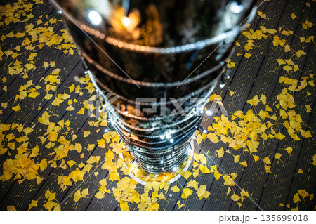 Creative display of lights and leaves in Chengdu park during autumn season 135699018
