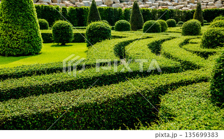 Luxury landscape design of the tropical garden. Luxury landscape design of the tropical garden. 135699383