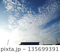 夏の終わりのいわし雲 135699391