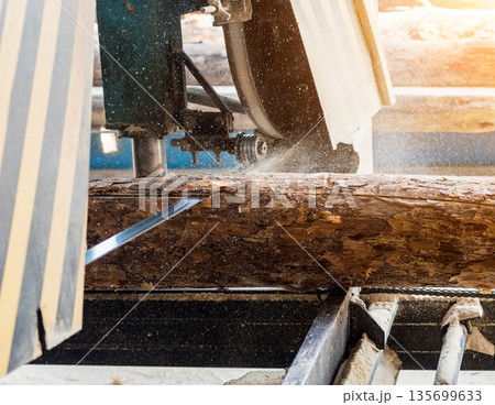 Modern sawmill. Industry sawing boards from logs 135699633