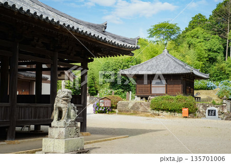 狛犬と寺院 狛犬と寺院 135701006