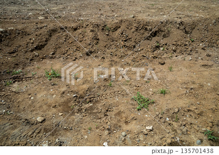 various various 135701438