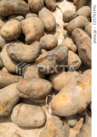 various various 135701442