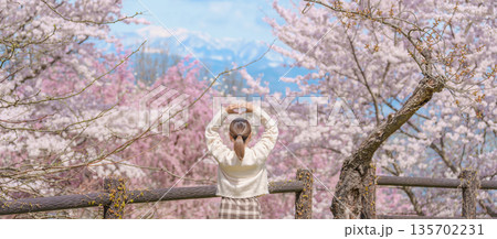 Woman tourist sightseeing Sakura Cherry Blossom in Spring, happy traveler travel in Tendo Park or Maizuru Park in Yamagata prefecture, Tohoku, Japan. famous Landmark for Travel and Vacation 135702231