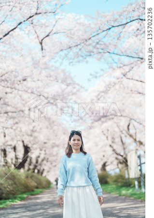 Woman tourist sightseeing Kitakami Tenshochi Park with Sakura Cherry Blossom in Spring, traveler travel in Kitakami festival, Iwate prefecture, Japan. Landmark for Travel and Vacation destination Woman tourist sightseeing Kitakami Tenshochi Park with Sakura Cherry Blossom in Spring, traveler travel in Kitakami festival, Iwate prefecture, Japan. Landmark for Travel and Vacation destination 135702236
