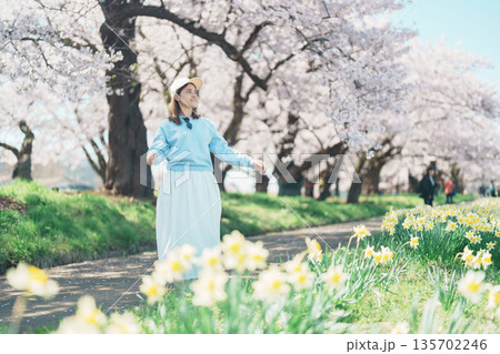 Woman tourist sightseeing Kitakami Tenshochi Park with Sakura Cherry Blossom in Spring, traveler travel in Kitakami festival, Iwate prefecture, Japan. Landmark for Travel and Vacation destination Woman tourist sightseeing Kitakami Tenshochi Park with Sakura Cherry Blossom in Spring, traveler travel in Kitakami festival, Iwate prefecture, Japan. Landmark for Travel and Vacation destination 135702246