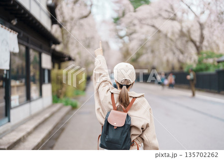 Woman tourist sightseeing Sakura Cherry Blossom in Spring. Happy traveler travel in Samurai village or Little Kyoto in Kakunodate town, Semboku District, Akita Prefecture, Japan. Landmark and Vacation Woman tourist sightseeing Sakura Cherry Blossom in Spring. Happy traveler travel in Samurai village or Little Kyoto in Kakunodate town, Semboku District, Akita Prefecture, Japan. Landmark and Vacation 135702262