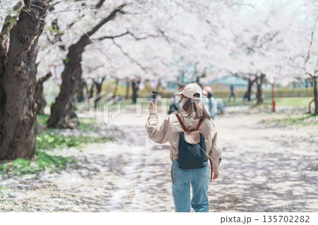 Woman tourist sightseeing Sakura Cherry blossom at Morioka Castle Ruins park in Spring, happy traveler travel in Iwate Park, Iwate prefecture, Japan. famous Landmark Travel and Vacation destination Woman tourist sightseeing Sakura Cherry blossom at Morioka Castle Ruins park in Spring, happy traveler travel in Iwate Park, Iwate prefecture, Japan. famous Landmark Travel and Vacation destination 135702282