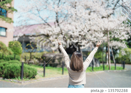 Woman tourist sightseeing Rock breaking Cherry Tree or Ishiwarizakura in Spring, happy traveler travel in Morioka city, Iwate prefecture, Japan. famous Landmark Travel and Vacation destinatio Woman tourist sightseeing Rock breaking Cherry Tree or Ishiwarizakura in Spring, happy traveler travel in Morioka city, Iwate prefecture, Japan. famous Landmark Travel and Vacation destinatio 135702288