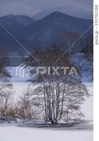 雪の降った冬の朝 雪の降った冬の朝 135702380