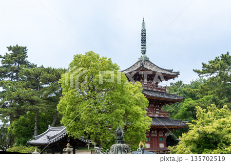 加古川の鶴林寺 135702519