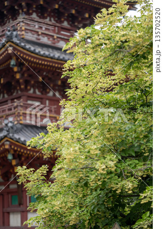 加古川の鶴林寺 135702520