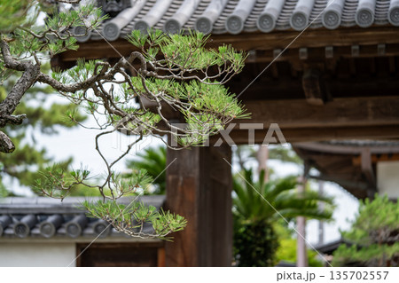 加古川の鶴林寺 135702557