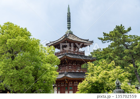 新緑に包まれた鶴林寺の三重塔 新緑に包まれた鶴林寺の三重塔 135702559